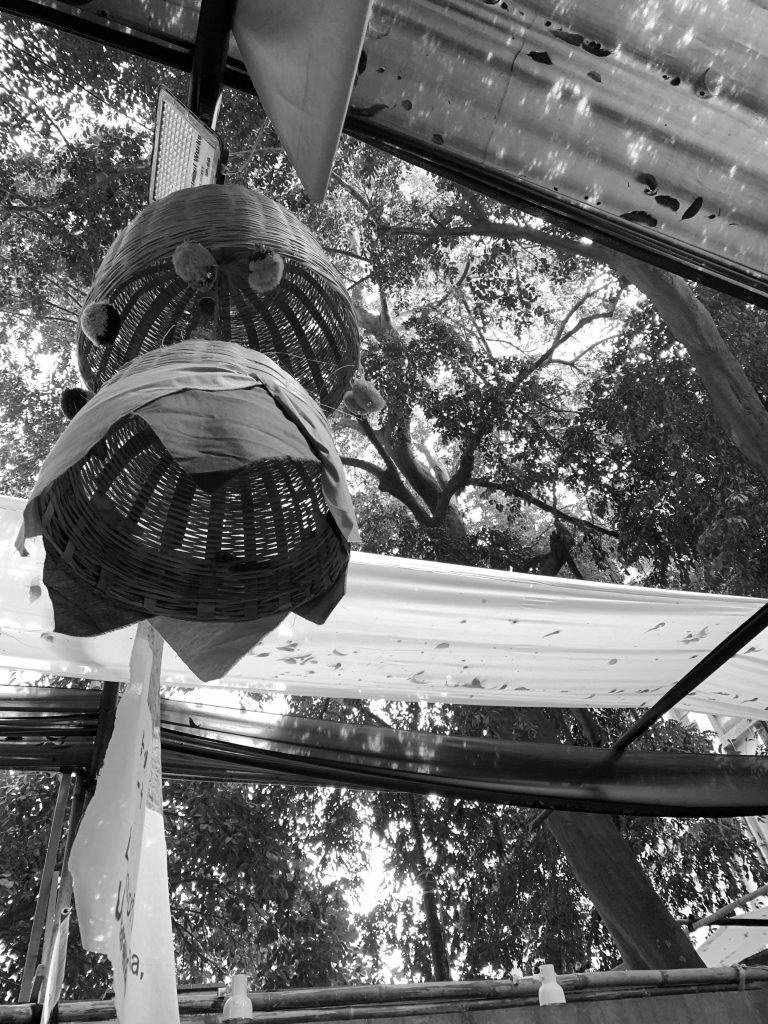 aesthetic image of the desi oon workshop